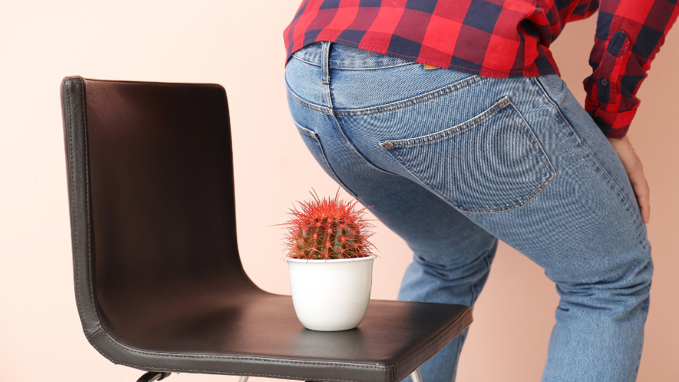 Piles Treatment in Ayurveda