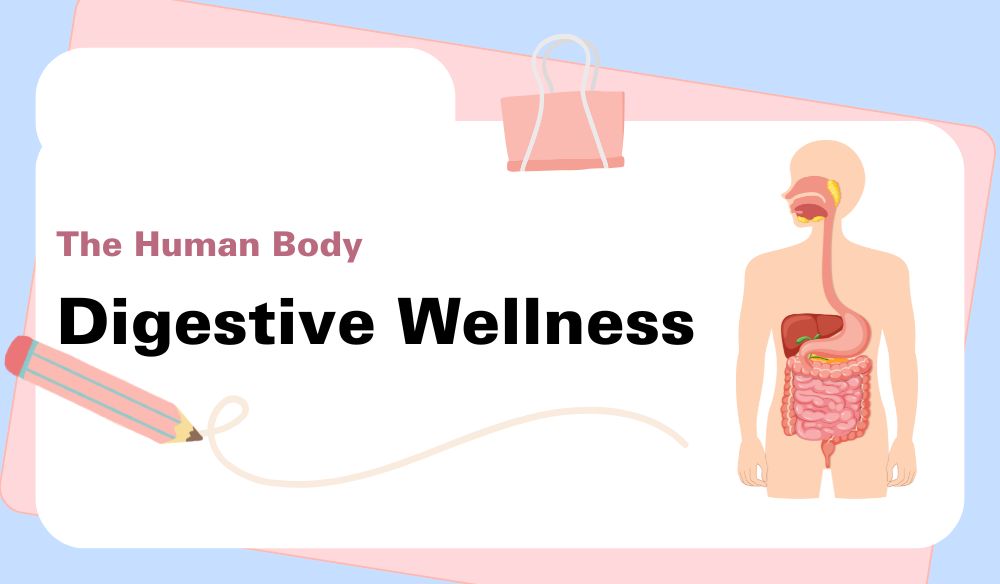 Digestive Wellness: Gastroenterology Treatments and Tips from Infinity Care Hospital in Varanasi